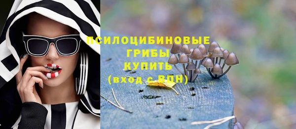 a pvp Горно-Алтайск