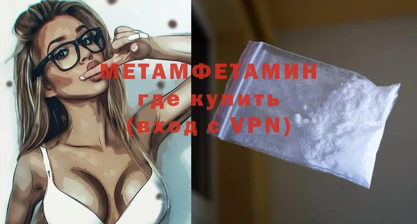 прущие грибы Вязьма