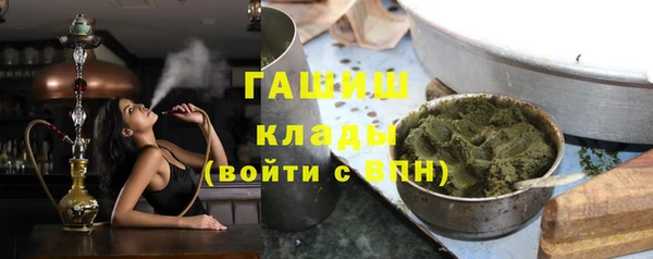 прущие грибы Вязьма