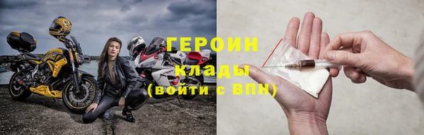 прущие грибы Вязьма