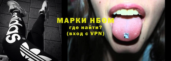 шишки Горняк