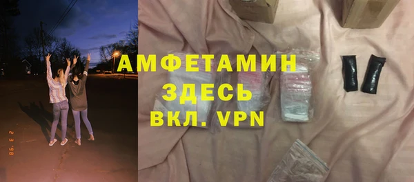 шишки Горняк