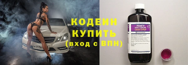 прущие грибы Вязьма