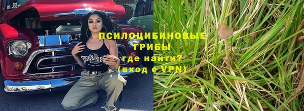 прущие грибы Вязьма