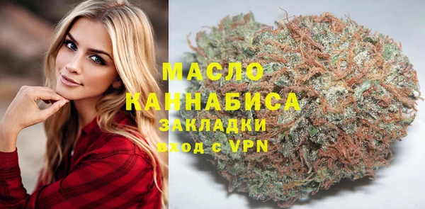 шишки Горняк