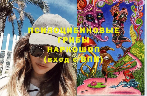 шишки Горняк