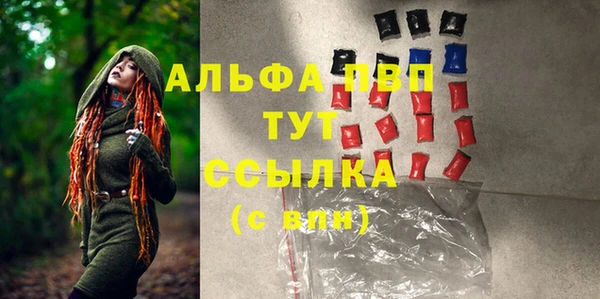 шишки Горняк