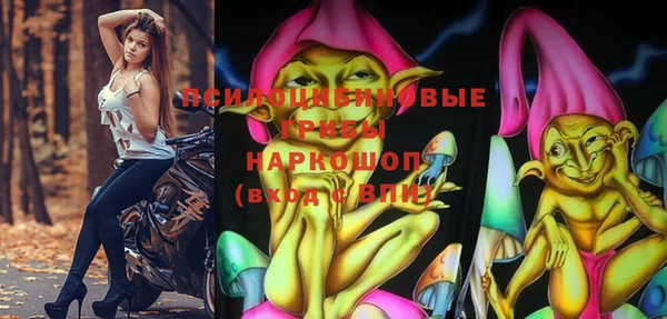 марки lsd Вяземский