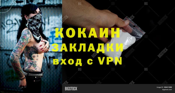 прущие грибы Вязьма