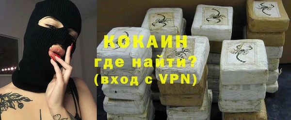 шишки Горняк