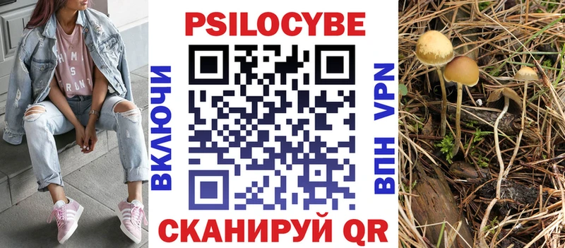 наркотики  гидра зеркало  Галлюциногенные грибы Psilocybe  Задонск 