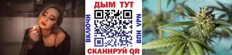 где найти наркотики  Задонск  Бошки марихуана марихуана 
